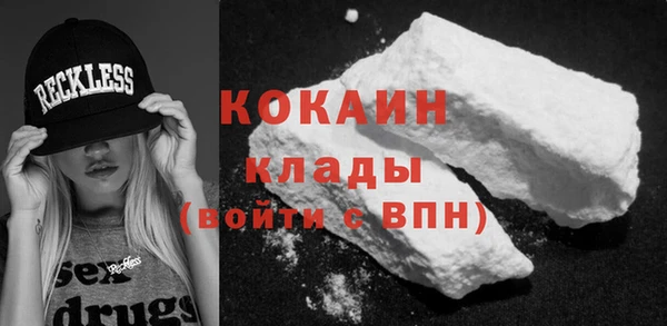 дживик Майский