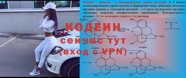 дживик Майский
