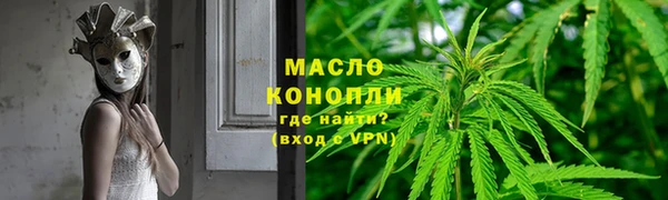 дживик Майский