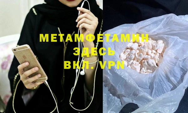 прущие грибы Верея