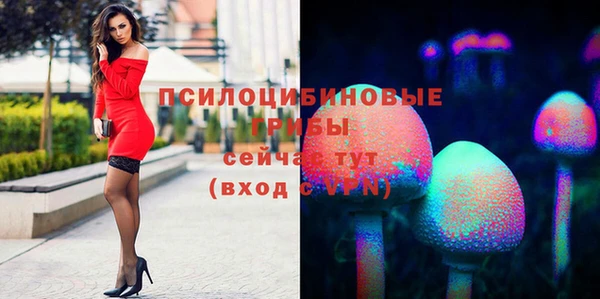 гидропоника Магадан
