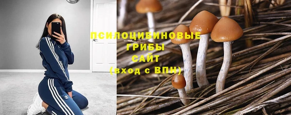 ALPHA-PVP Уссурийск